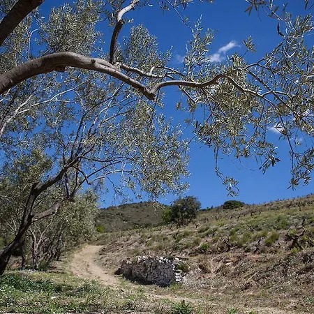 Ballús Tiana