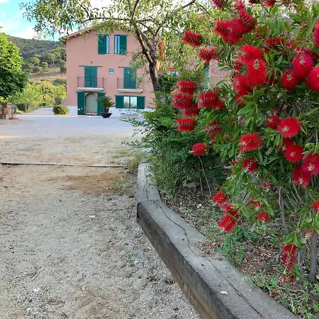 Ballús
